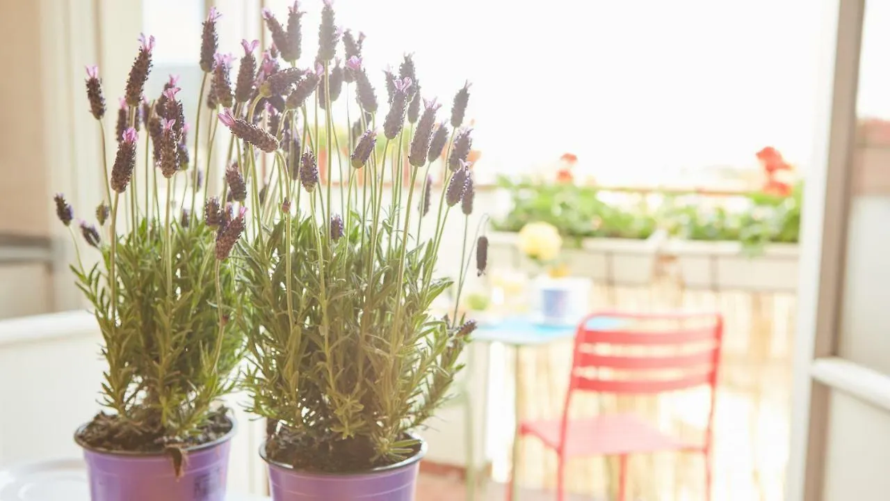 Bed & Breakfast B&B Attico 147 Arezzo